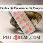 Dragon Power Pills 26